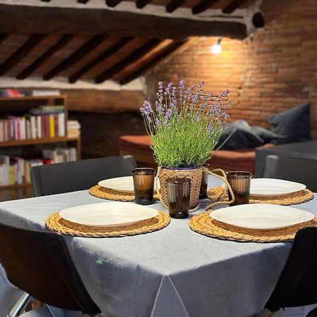 Lovely Apartment Lucca Dış mekan fotoğraf