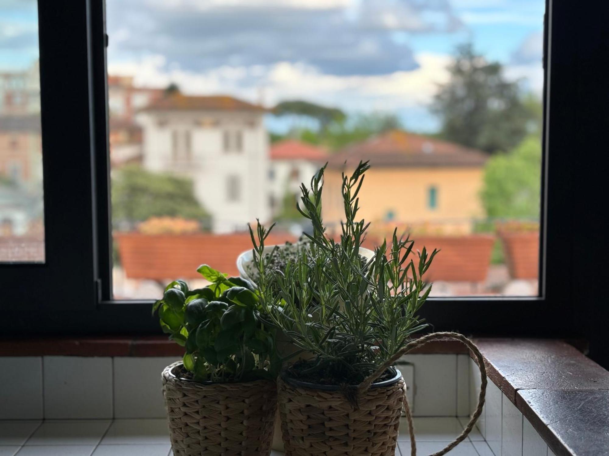 Lovely Apartment Lucca Dış mekan fotoğraf